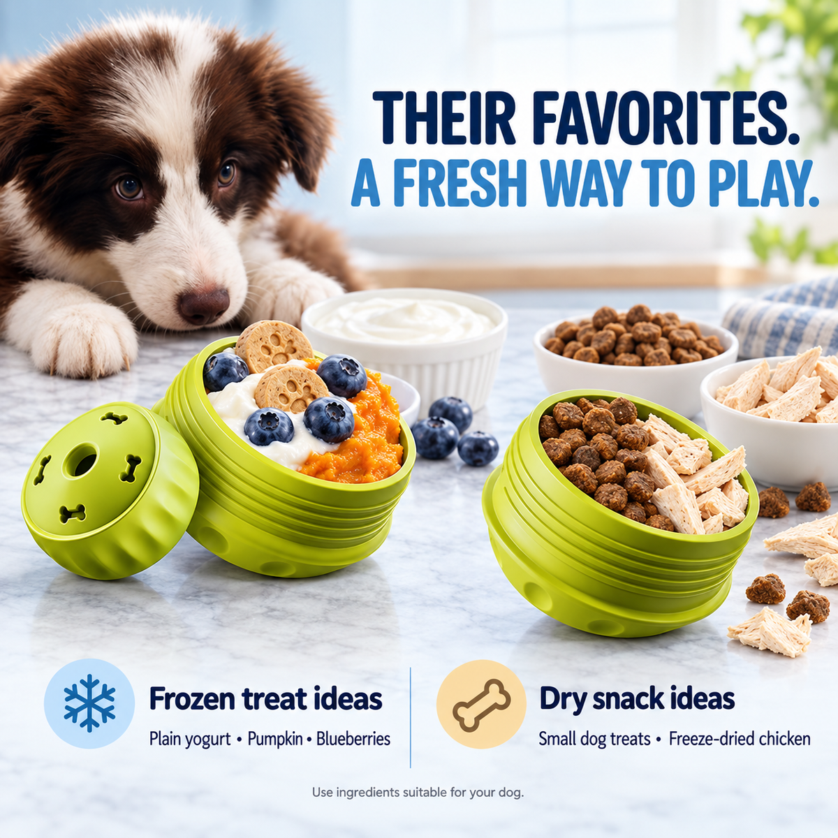 Refillable Dog Treat Toy with DIY Freezer Tray