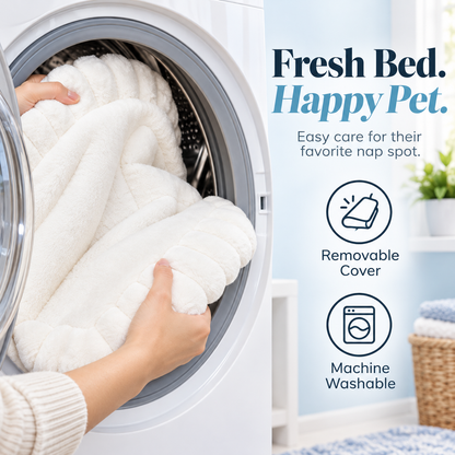 Foldable Cat Window Perch – Cord-Free & Washable