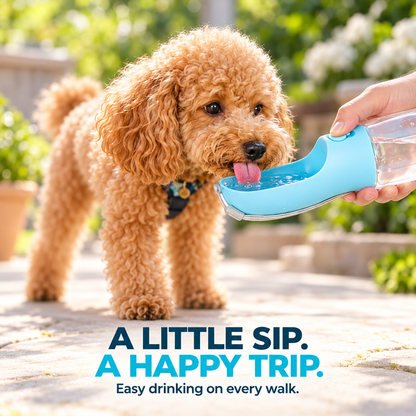 3-in-1 Pet Travel Bottle – Water, Food