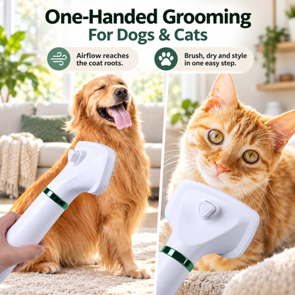 2-in-1 Pet Dryer Brush – 3 Heat Settings & Easy Hair Removal