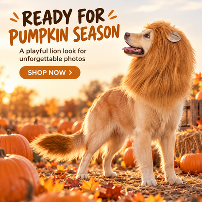 Adjustable Dog Lion Mane with Ears – Halloween Costume