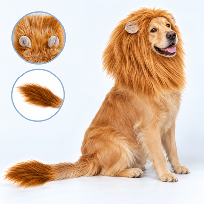 Adjustable Dog Lion Mane with Ears – Halloween Costume